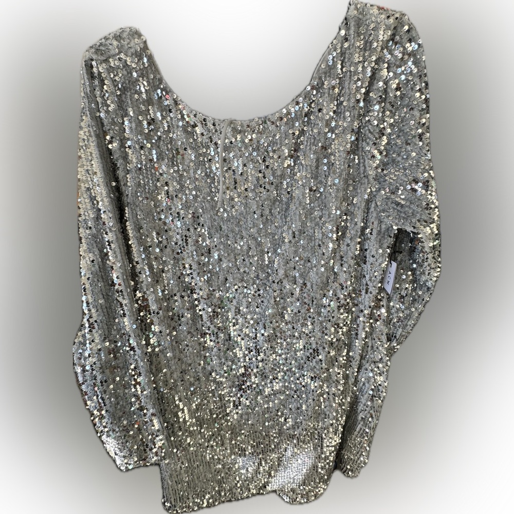 Sequin Silver Dress